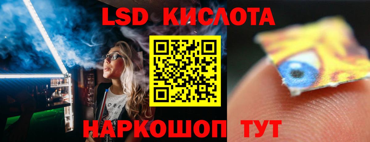 Новодвинск  mega tor  Вход с VPN  LSD-25 экстази кислота  LSD-25 экстази кислота 