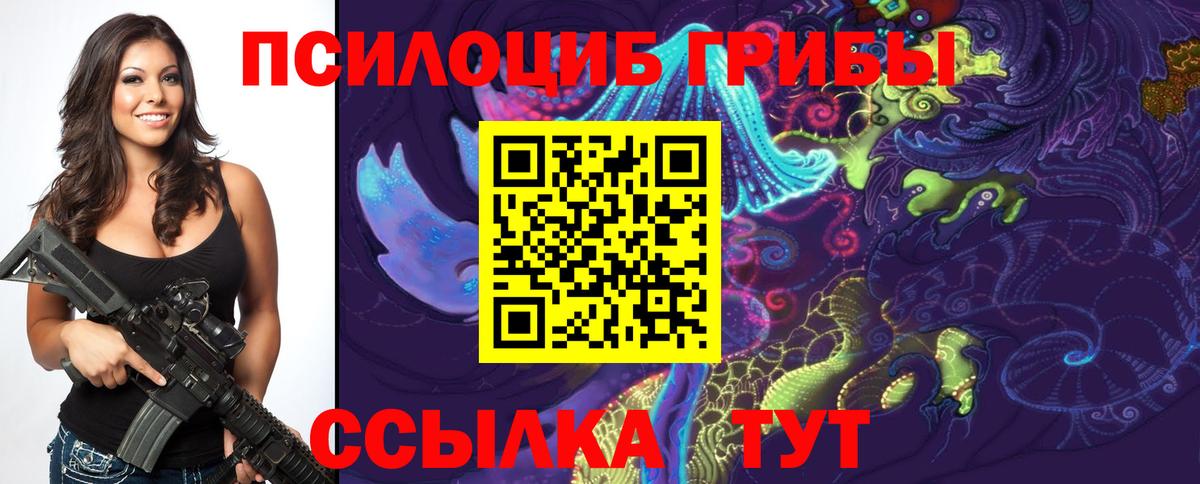 Галлюциногенные грибы MAGIC MUSHROOMS  Вход с VPN  Новодвинск 